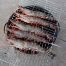 비장어 장어 이미지