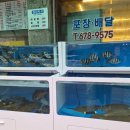 백산수산