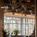 호미양양 이미지