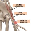 으뜸경희한의원 이미지