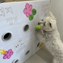 코지독하우스 이미지