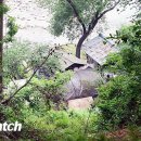 신월2리 이미지