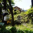 가평유명산옹달샘가족힐링펜션 이미지