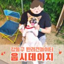 [웁시데이지 2탄] 중대형견 가능한 강아지놀이터 스테이지28 : )