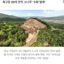 지리산 정상부에 골프장 추진… 축구장 29개 소나무 잘렸다 이미지