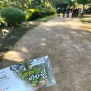 닭머르해안길 | 제주 동쪽 여행코스 비자림 일몰 명소 닭머르 해안길 관광지