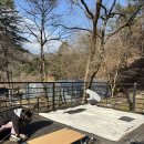 힐링캠프 | [캠핑]홍천 수타사 힐링 캠프 후기