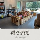 다온농원 | 경북캠핑장 무릉관광농원 솔직후기
