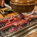 향연양꼬치 | 반포[고속터미널역] 불향+육즙의 향연 반포 양갈비&amp;양꼬치 입문자도 반한 그 맛 방문 후기
