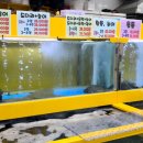 착한막회 티스토리