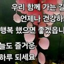 노화는 감정(感情)에서 시작된다 이미지