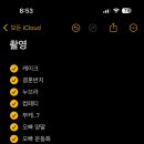 피어날현
