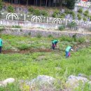 도배마을농장 이미지