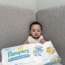 [팸퍼스] 팸퍼스 2024 터치 오브 네이처 썸머팬티 여름걱정 없는 팸퍼스 기저귀
