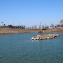 배곧생명공원 이미지