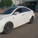 팀비씨알 이미지