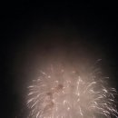 광복70주년기념 갑천변 이미지