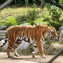 가을문화탐방 행사를 다녀와서 - 박종갑(국어국문학) 이미지