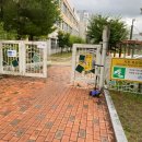 한사랑 태권도(세종도장) 이미지