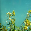 신남체육관 이미지