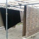 카페트세탁 스팀지니 이미지