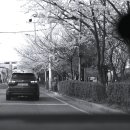 윔즈홈
