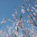 영교5 Daum카페