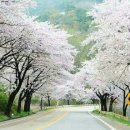 전진합기도 이미지