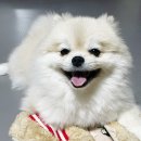 폴리파크 동탄호수공원점 이미지