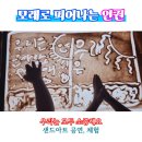 동화초등학교 | 장성 동화초 유치원부터 전교생 장애 이해 교육을 샌드아트 공연과 체험으로 함께 했어요