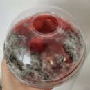 플랜 동촌점