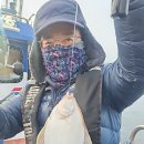 참가자미 이미지