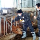 산내축산 이미지