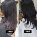 왕소희 헤어