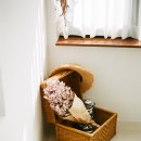 제주스테이 이미지