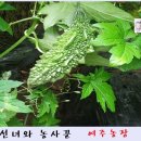 선녀와농사꾼