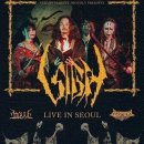 Sigh Live in Seoul 이미지