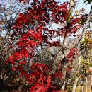 금남농장 이미지