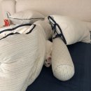 만쿠나 | 출산 하루 전