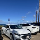 그늘막83 | 하와이 가성비 여행 5박 2인 경비 360만원(3)│83번 국도, 허츠렌트카, 샥스코브, 라니아케아 거북이...