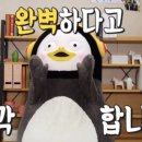 네코부루