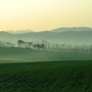 오성목장 이미지