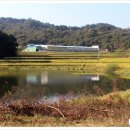 남사대로 주유소 이미지