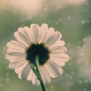 마전노래연습장 이미지