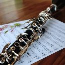 클라리넷 집중레슨 이미지