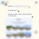 🤍🇲🇳1 _ 몽골 신혼여행 여행사 예약 후기 ( 리더스투어 _ 몽골리아 )