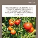 바람햇살농장 이미지