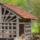 녹스레스토랑 | 나트랑 판랑 사막투어 선셋투어 레츠비트립 후기 옷 일정