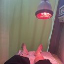 현가한의원 | 24살이 처음 침 맞으면 생기는 일