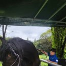 탑(TOP) 승마클럽 이미지